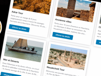 e-comerce website (7) (1)